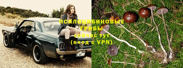 героин Горняк