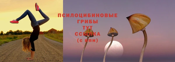 сатива Горно-Алтайск
