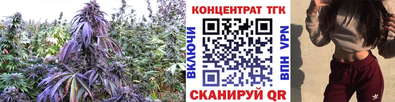Дистиллят ТГК гашишное масло  Купить где  Новозыбков 
