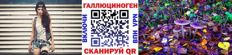 Псилоцибиновые грибы GOLDEN TEACHER  Купить закладки  Новозыбков 